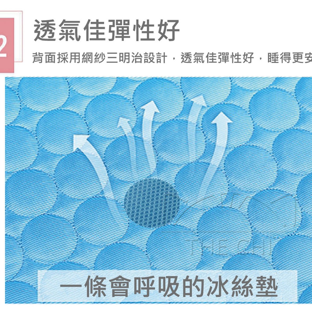【台灣出貨】樂奇嚴選 寵物涼墊  降溫涼感面料 寵物睡墊 狗睡墊 寵物涼墊 狗狗涼墊 寵物床 貓睡墊 冰絲涼感墊-細節圖3
