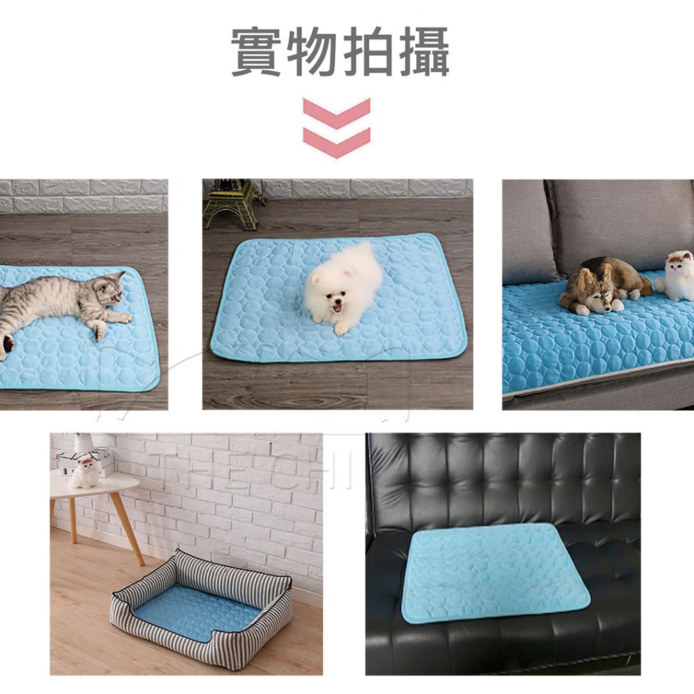 【台灣出貨】樂奇嚴選 寵物涼墊  降溫涼感面料 寵物睡墊 狗睡墊 寵物涼墊 狗狗涼墊 寵物床 貓睡墊 冰絲涼感墊-細節圖6