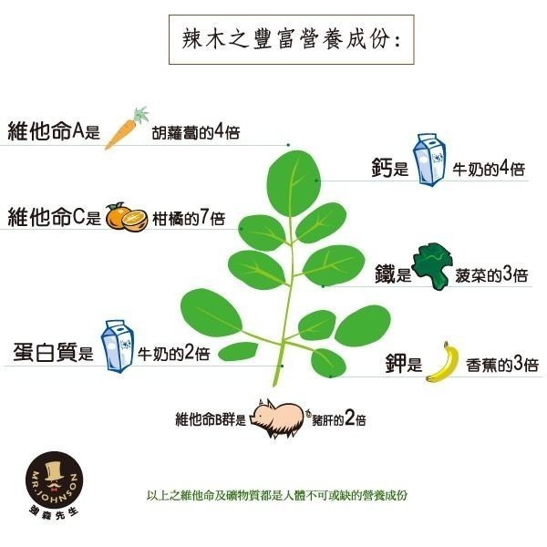 辣木茶 辣木養生茶【強森先生】奇蹟之樹 最有營養的樹 保健養生 日常代茶飲品 保健飲品 沖泡飲品 辣木茶包-細節圖6