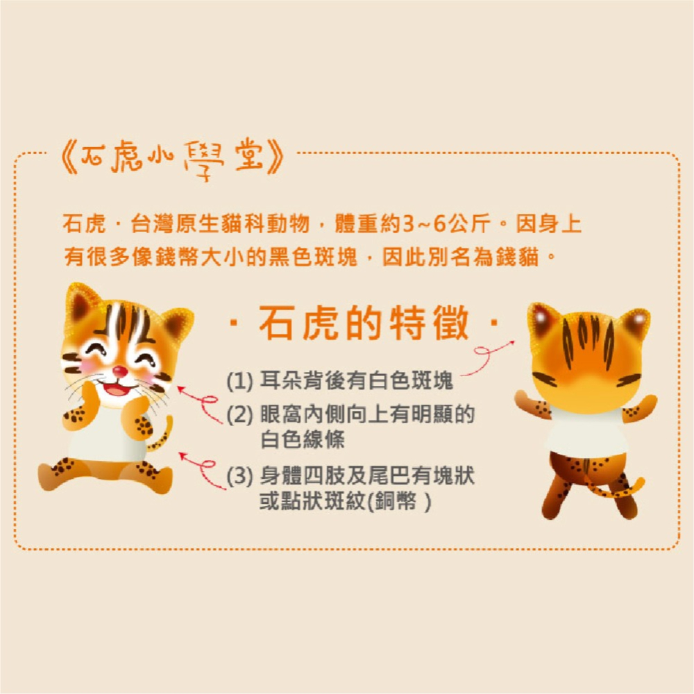 【躲貓貓】石虎彩繪存錢筒糖果罐 (四種糖果任選一) 台灣特色石虎 讓你的小孩歡樂存錢-細節圖4