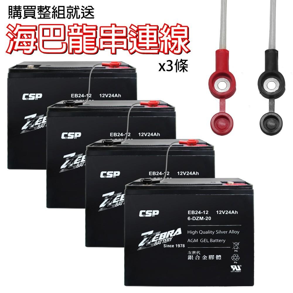 CSP進煌 銀合金膠體電池 電動車電池 強效版 等同6-DZM-20. EB24-12 x4顆(箱）12V24Ah-細節圖6