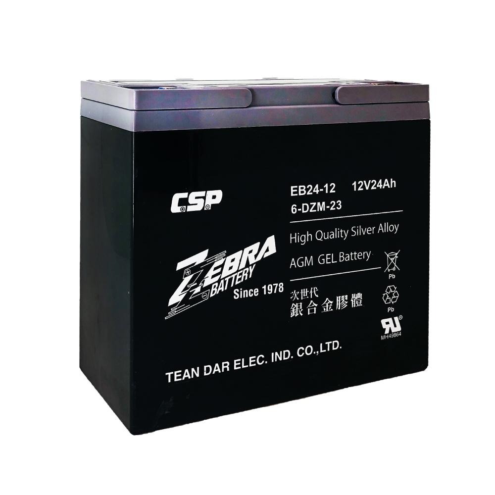 CSP進煌 銀合金膠體電池 電動車電池 強效版 等同6-DZM-20. EB24-12 x4顆(箱）12V24Ah-細節圖8
