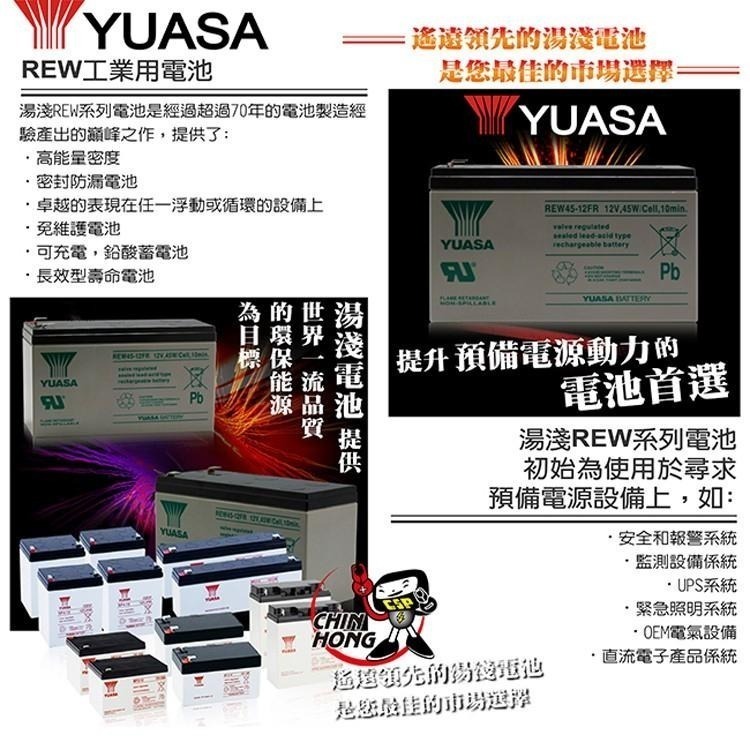 YUASA REW45-12 (8個/箱) YUASA 湯淺 鉛酸電池-細節圖3