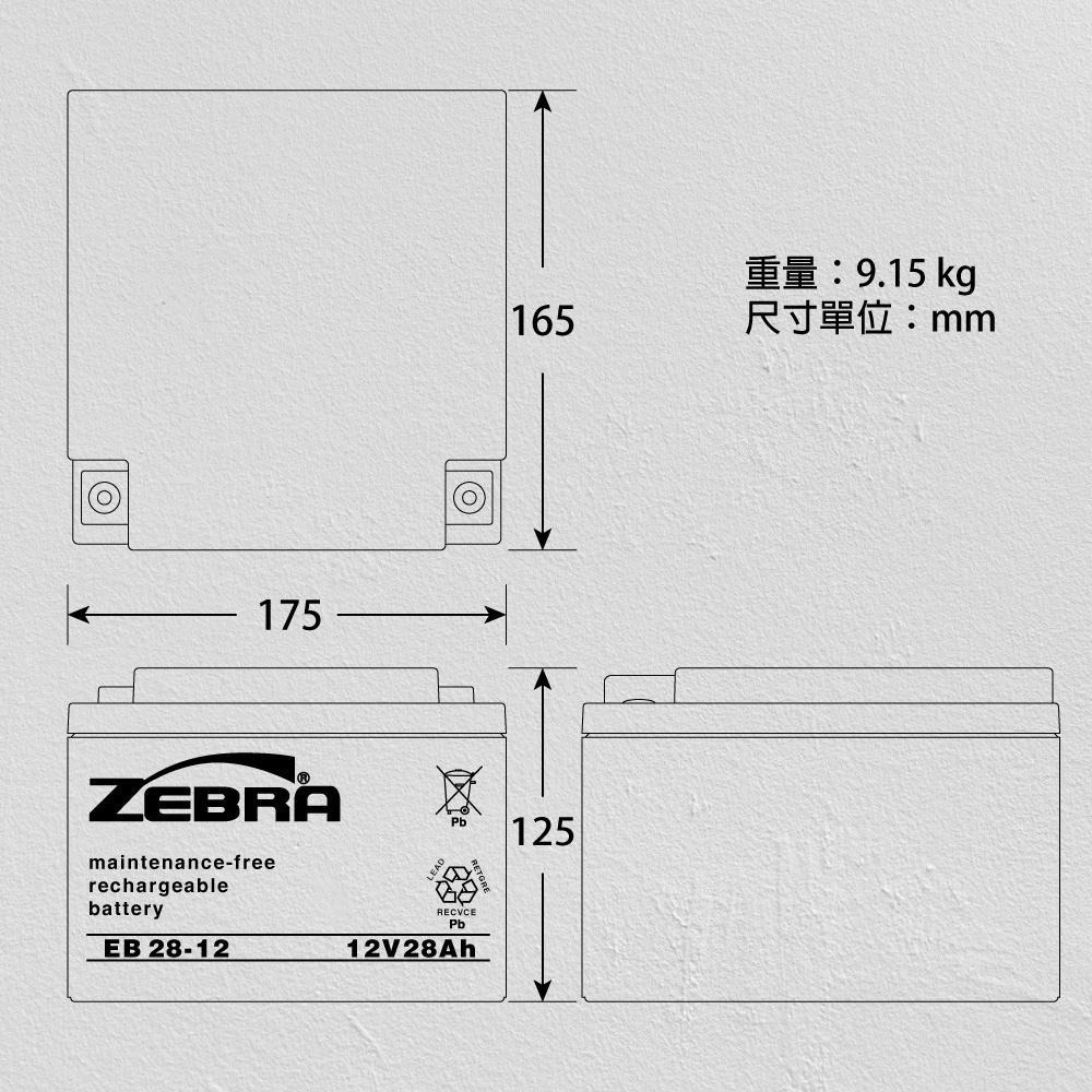 ZEBRA EB28-12銀合金膠體電池 12V28Ah電動車 電動機車 老人代步車 電動輪椅 更換電池-細節圖3