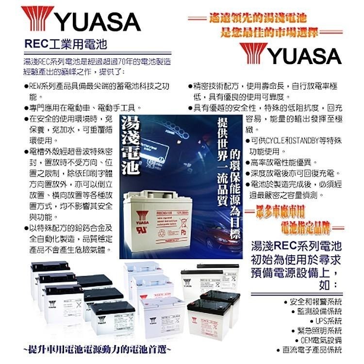 【YUASA 湯淺 】12V50Ah 鉛酸電池 電動車電池/釣魚電池/捲線器/UPS/緊急照明裝置 REC50-12-細節圖8