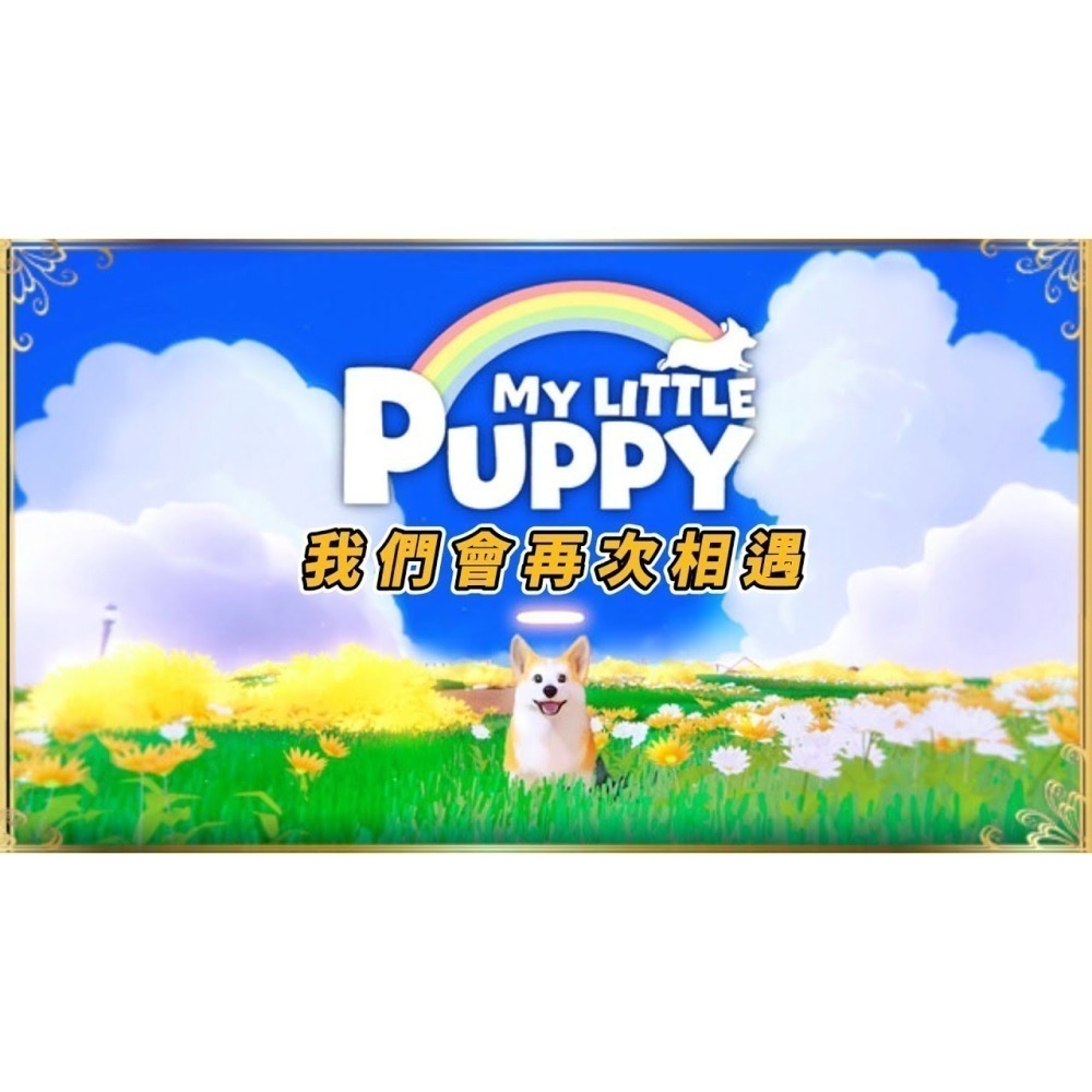 NS 我的小柯基 中文版-細節圖3