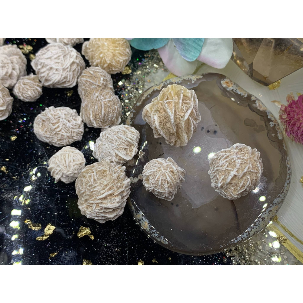 ~墨西哥~沙漠玫瑰~-細節圖3