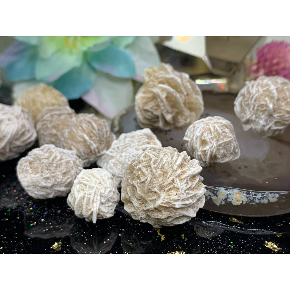 ~墨西哥~沙漠玫瑰~-細節圖4