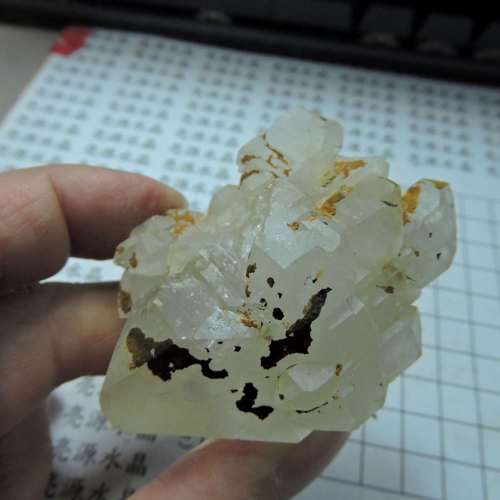 ~0105~西藏黑火晶~雙尖骨幹-細節圖2