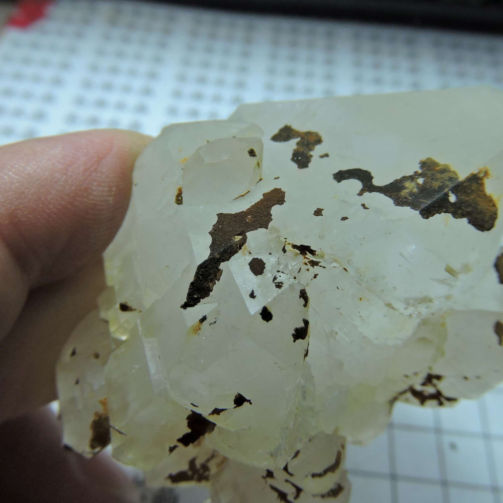 ~0105~西藏黑火晶~雙尖骨幹-細節圖3