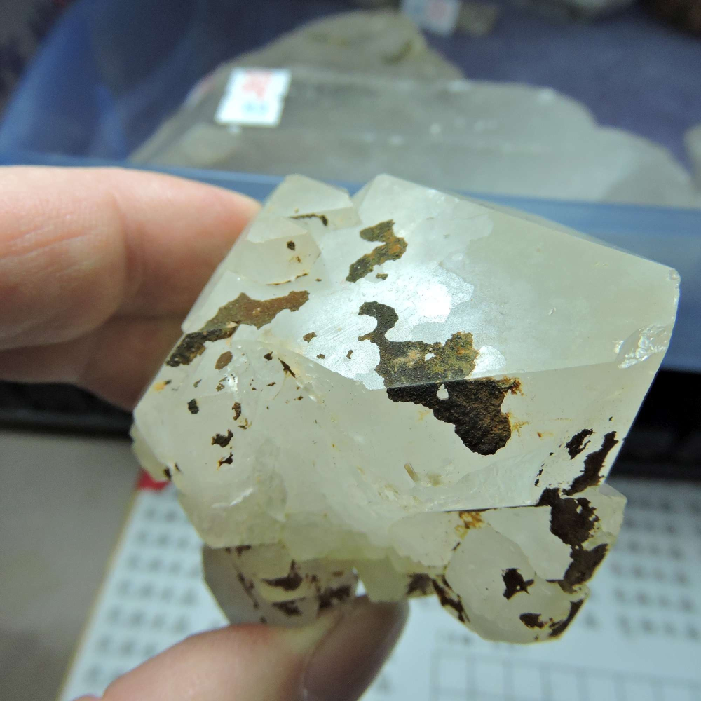 ~0105~西藏黑火晶~雙尖骨幹-細節圖4