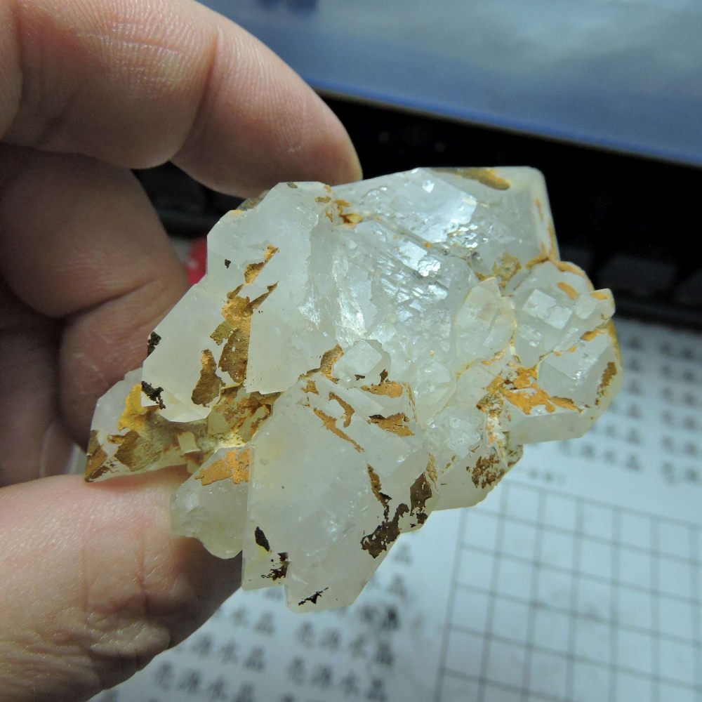 ~0105~西藏黑火晶~雙尖骨幹-細節圖5