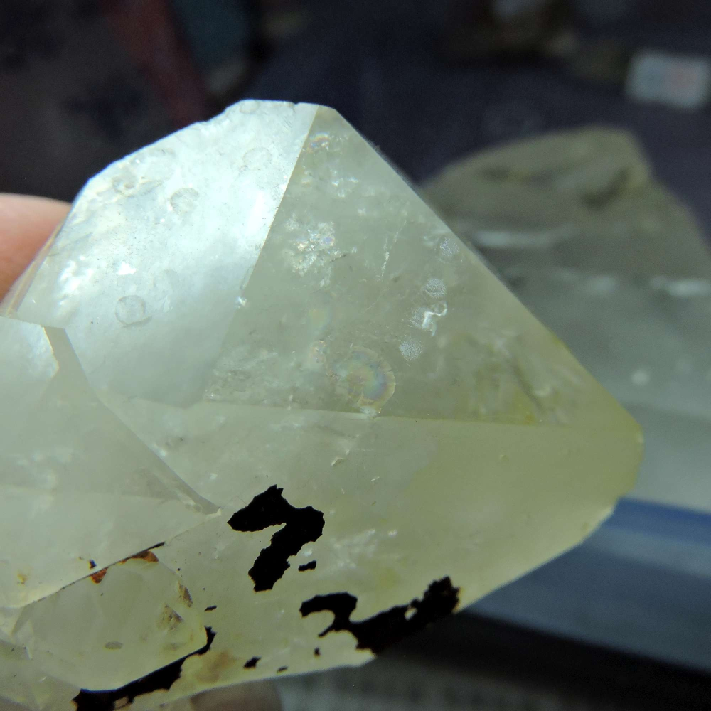 ~0105~西藏黑火晶~雙尖骨幹-細節圖9