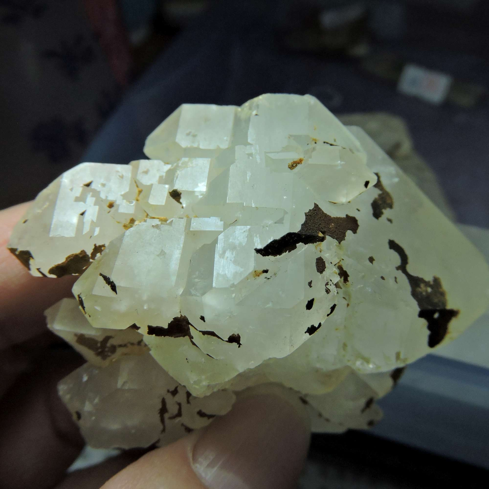 ~0105~西藏黑火晶~雙尖骨幹-細節圖10