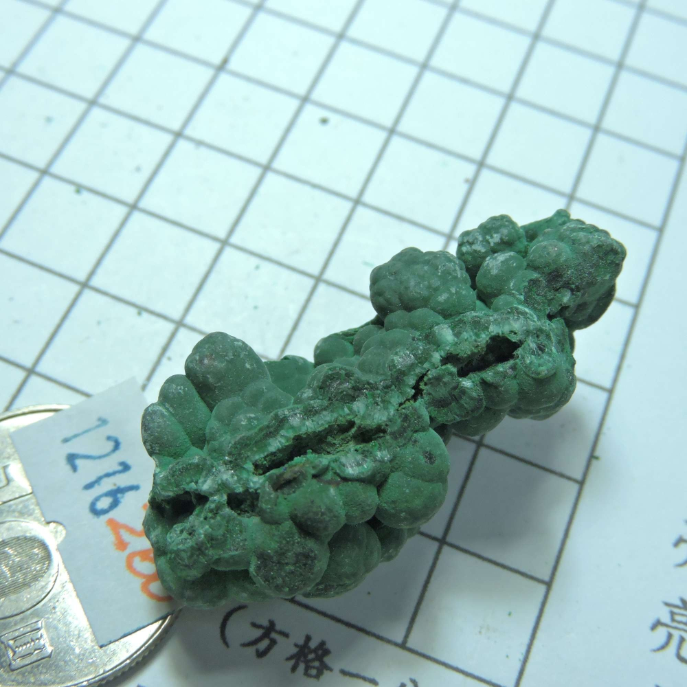 ~1216~孔雀石原礦~260-細節圖3