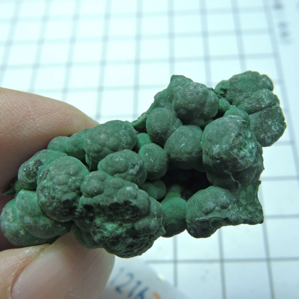 ~1216~孔雀石原礦~260-細節圖6