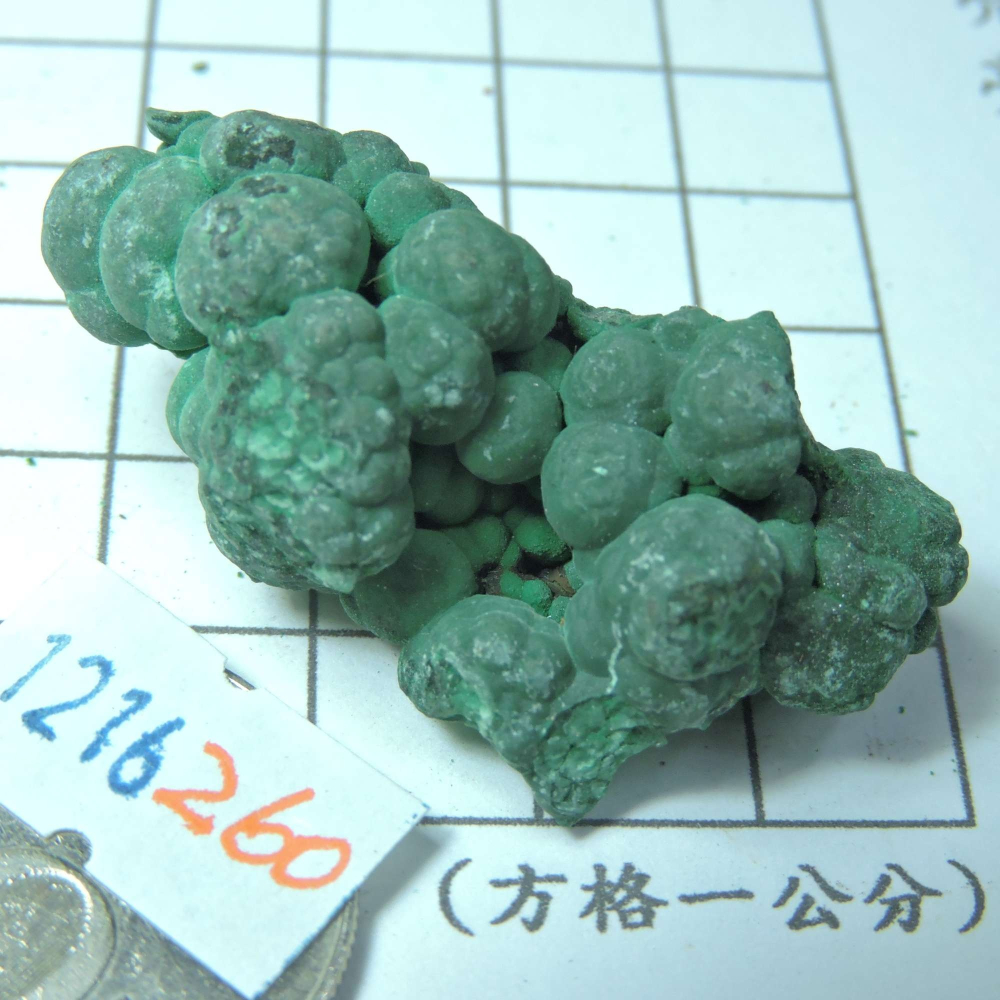 ~1216~孔雀石原礦~260-細節圖7