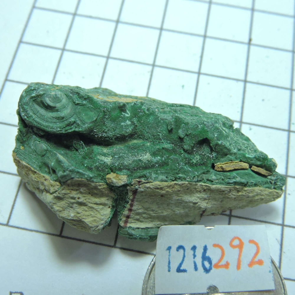 ~1216~孔雀石原礦~292-細節圖7