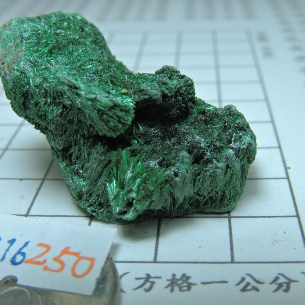 ~1216~孔雀石原礦~250-細節圖4