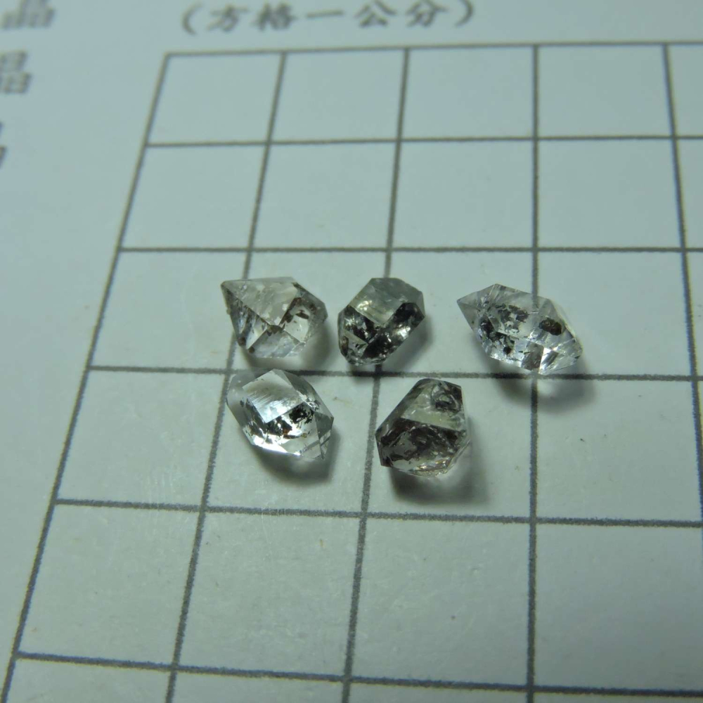 ~0121~巴基斯坦油膽閃靈~E710-細節圖4