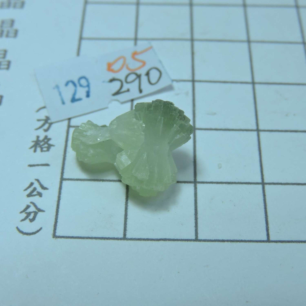 ~0129~蝴蝶結葡萄石~領結葡萄石~05~290-細節圖5