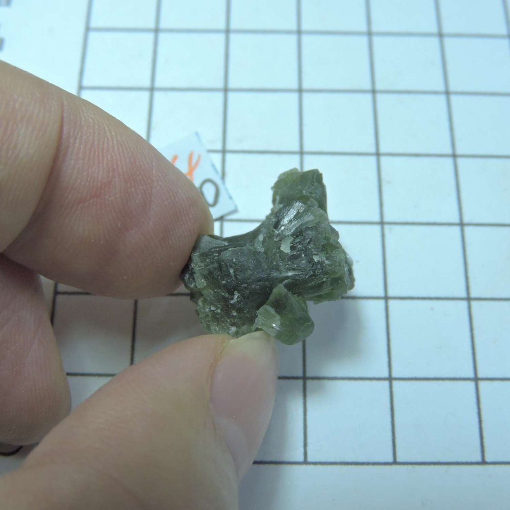 ~0129~蝴蝶結葡萄石~領結葡萄石~04~320-細節圖2