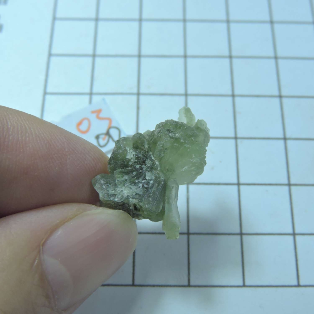 ~0129~蝴蝶結葡萄石~領結葡萄石~03~200-細節圖2