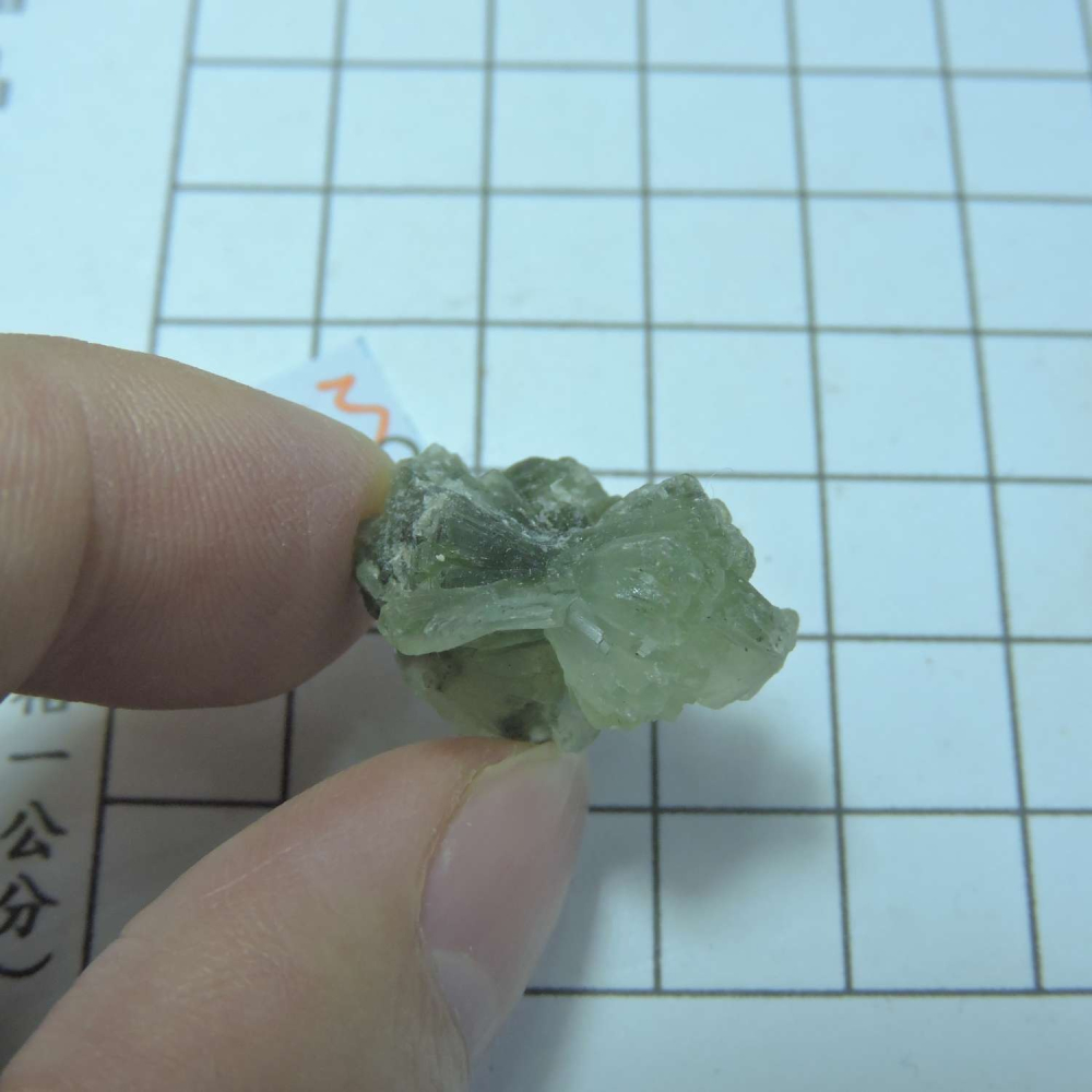 ~0129~蝴蝶結葡萄石~領結葡萄石~03~200-細節圖3