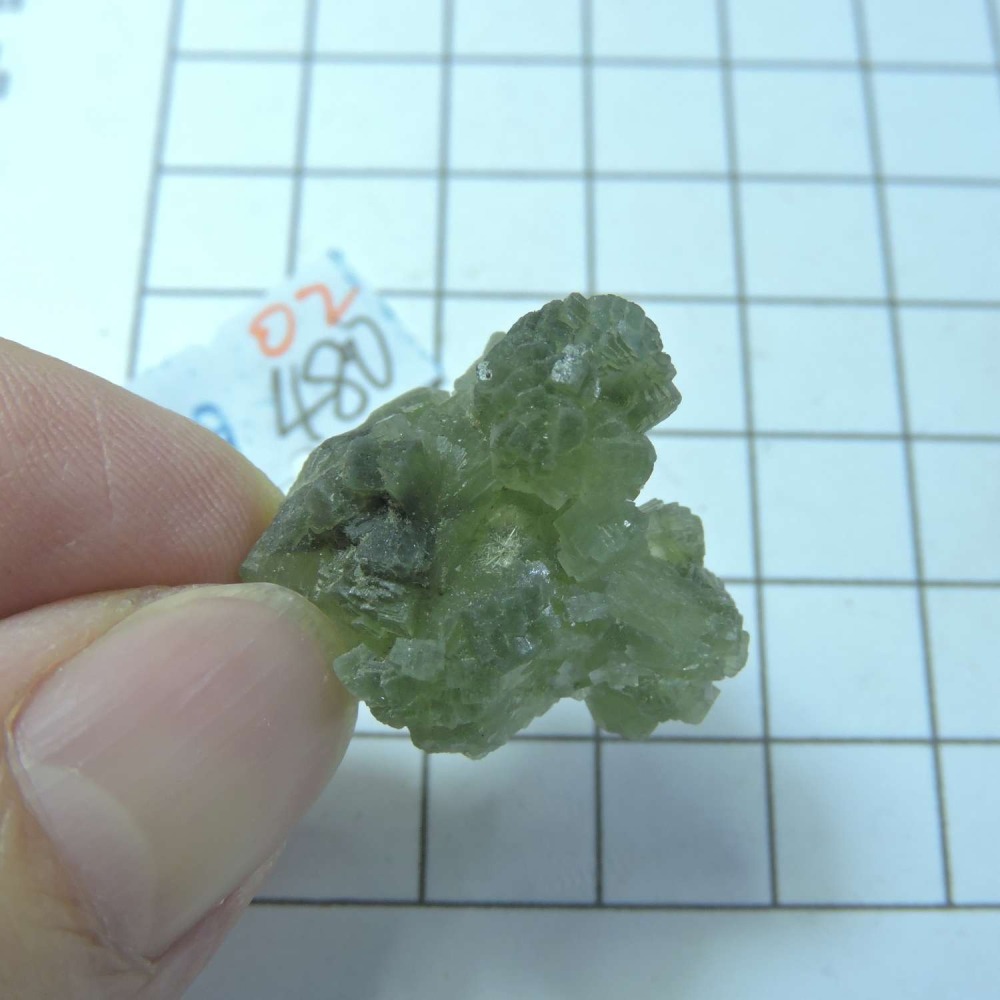 ~0129~蝴蝶結葡萄石~領結葡萄石~02~480-細節圖2