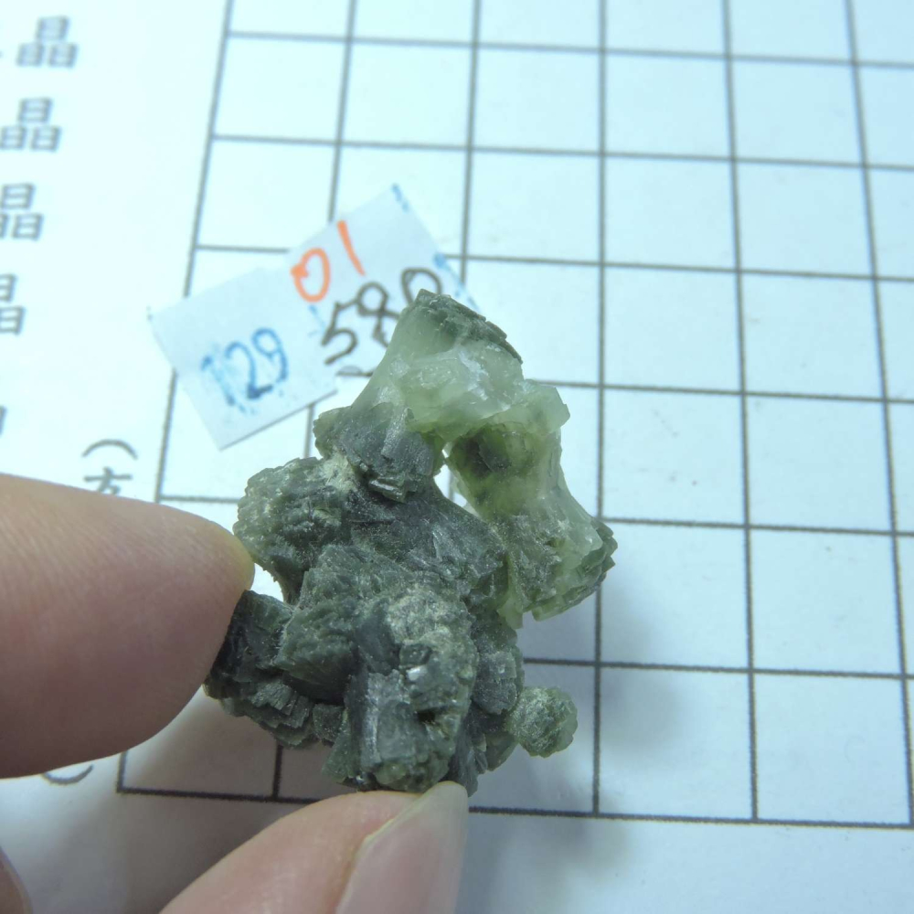 ~0129~蝴蝶結葡萄石~領結葡萄石~01~580-細節圖3