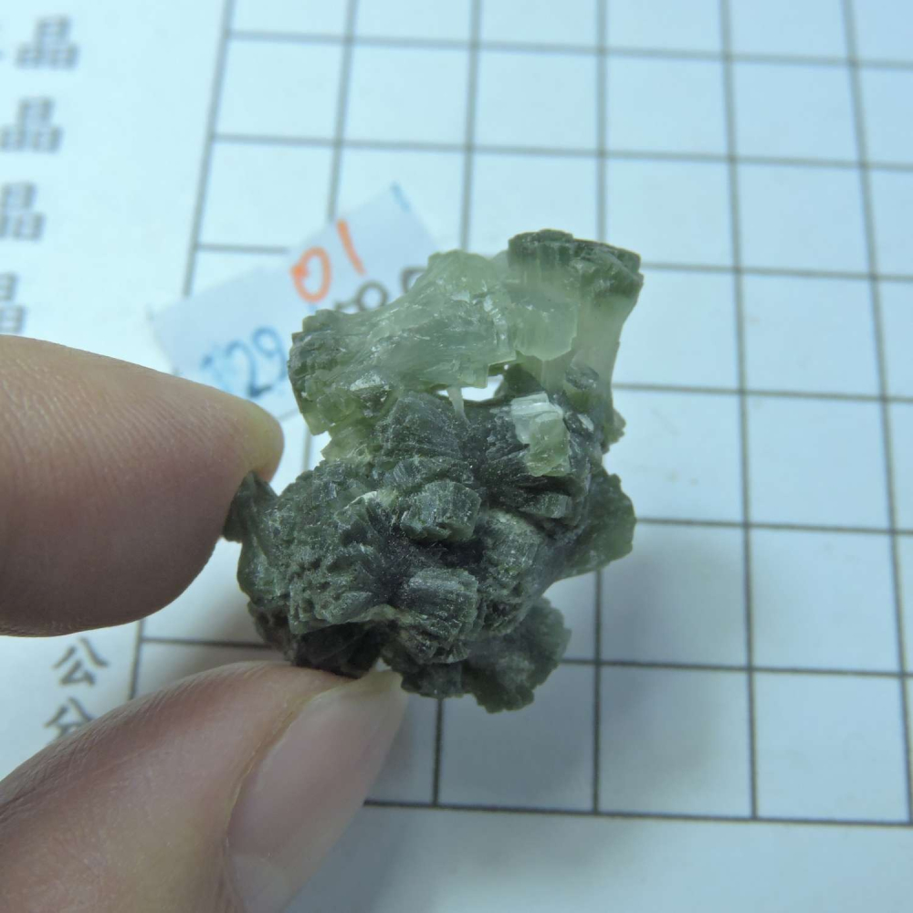 ~0129~蝴蝶結葡萄石~領結葡萄石~01~580-細節圖4