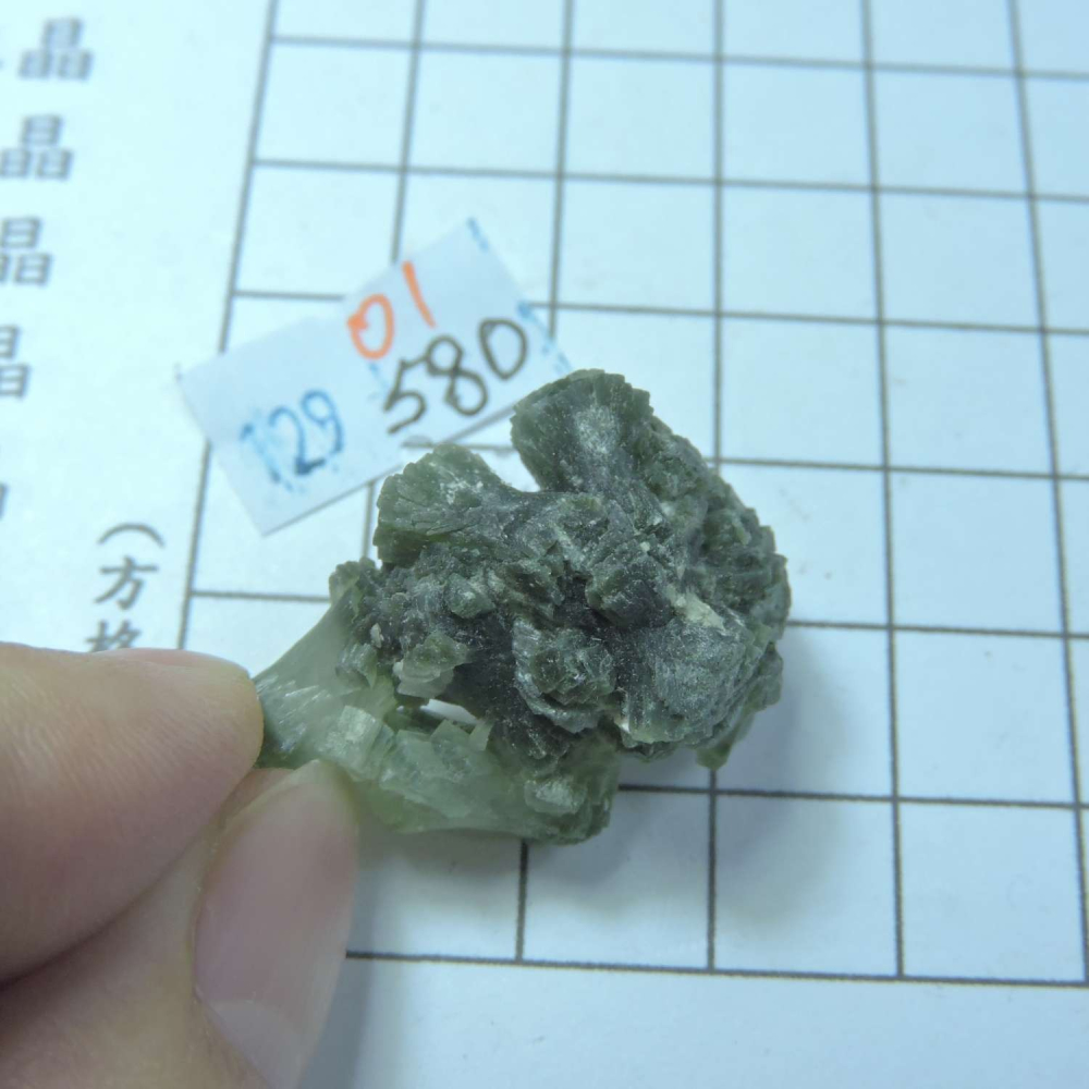 ~0129~蝴蝶結葡萄石~領結葡萄石~01~580-細節圖5