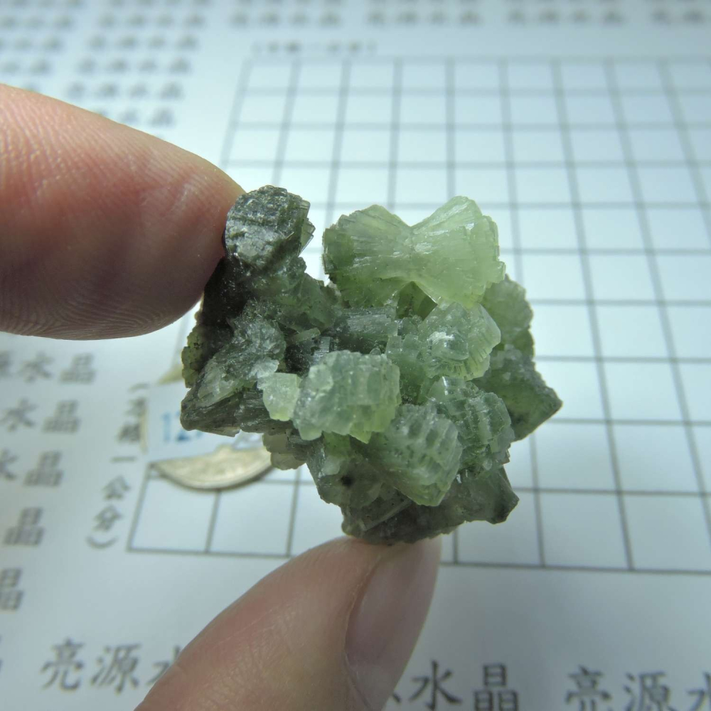 ~0129~蝴蝶結葡萄石~領結葡萄石~Bow-tie Prehnite~19~780-細節圖2