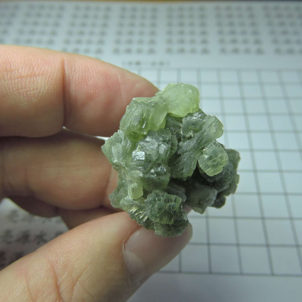 ~0129~蝴蝶結葡萄石~領結葡萄石~Bow-tie Prehnite~19~780-細節圖4