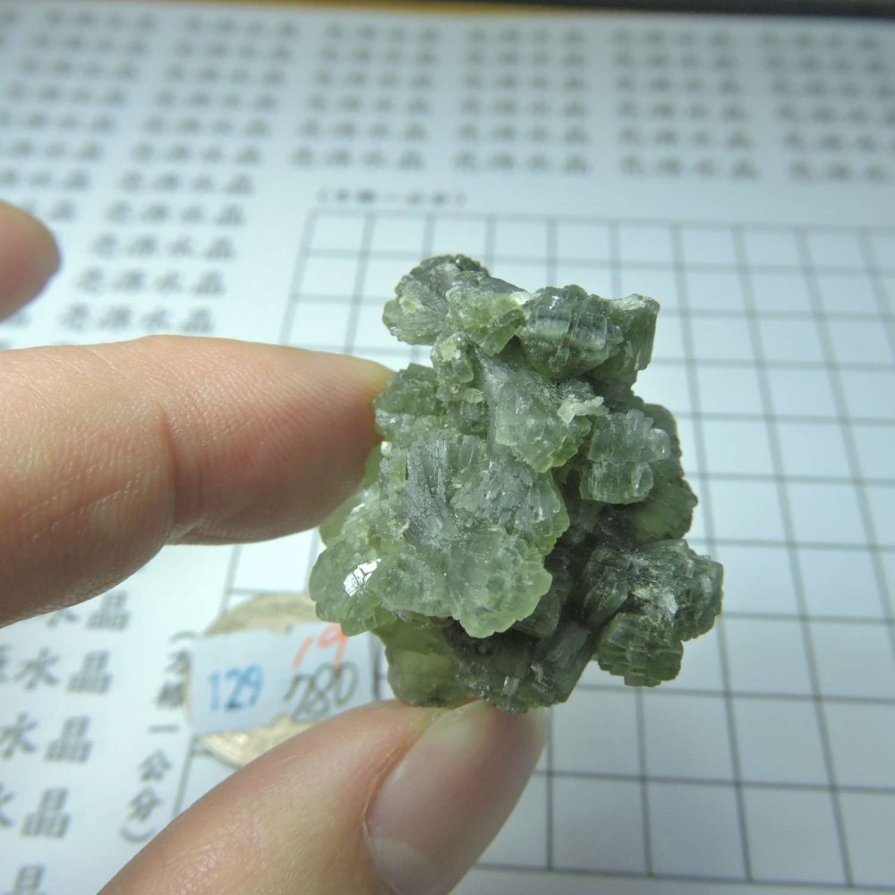 ~0129~蝴蝶結葡萄石~領結葡萄石~Bow-tie Prehnite~19~780-細節圖5