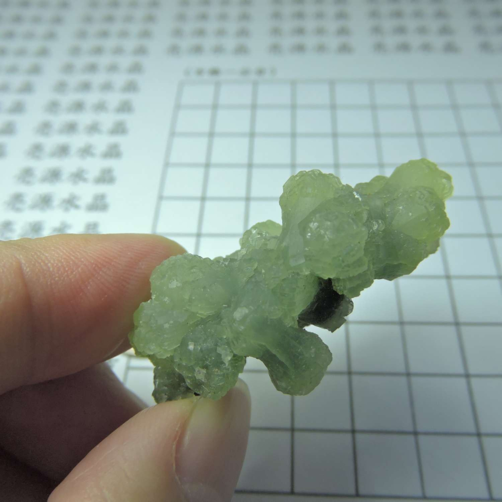 ~0129~蝴蝶結葡萄石~領結葡萄石~Bow-tie Prehnite~18~720-細節圖3