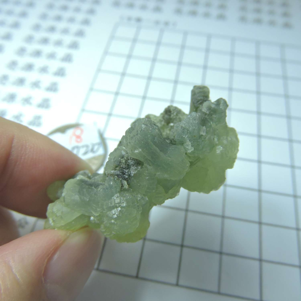 ~0129~蝴蝶結葡萄石~領結葡萄石~Bow-tie Prehnite~18~720-細節圖4