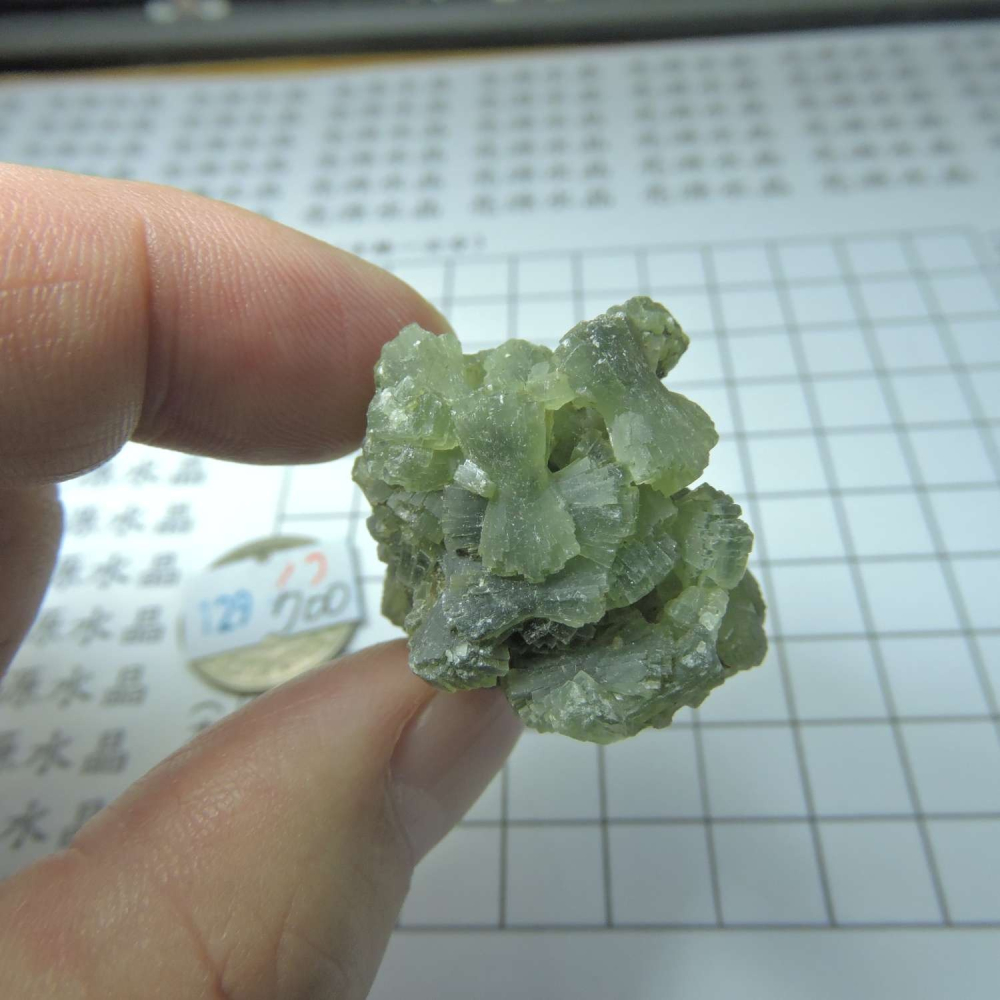 ~0129~蝴蝶結葡萄石~領結葡萄石~Bow-tie Prehnite~17~700-細節圖3