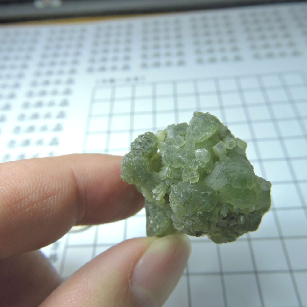 ~0129~蝴蝶結葡萄石~領結葡萄石~Bow-tie Prehnite~17~700-細節圖4
