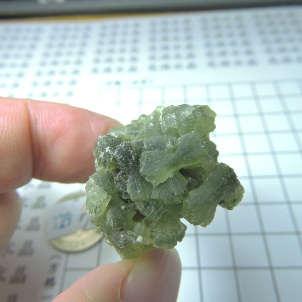 ~0129~蝴蝶結葡萄石~領結葡萄石~Bow-tie Prehnite~17~700-細節圖5
