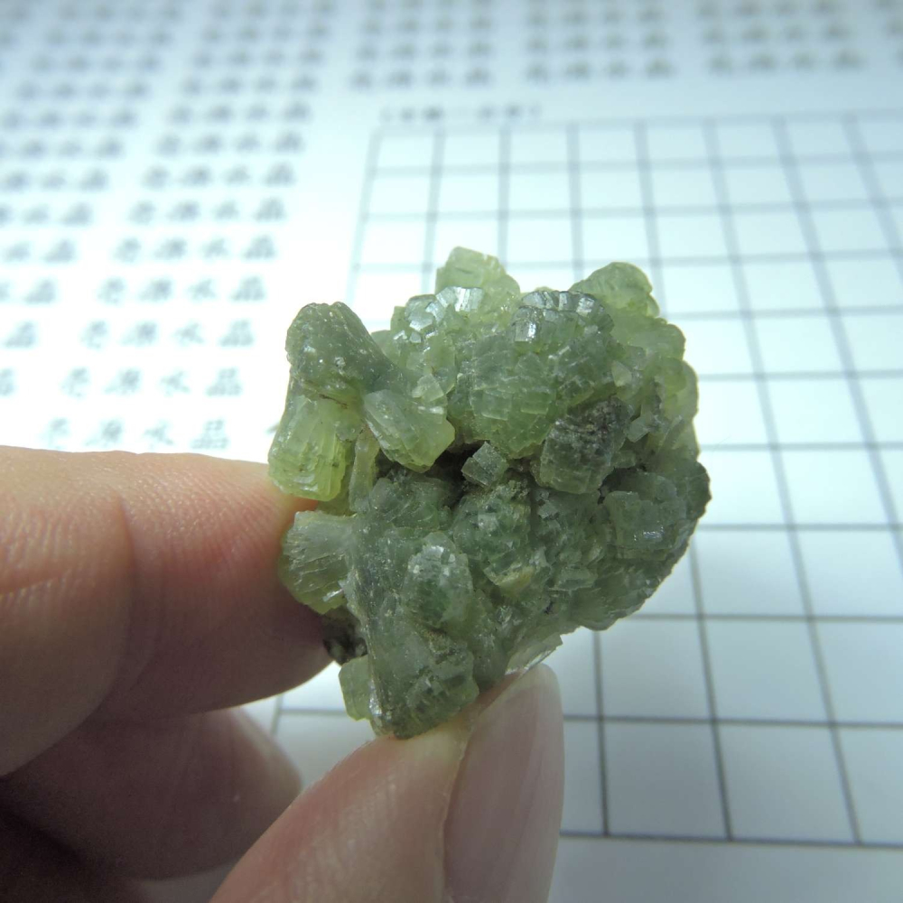 ~0129~蝴蝶結葡萄石~領結葡萄石~Bow-tie Prehnite~17~700-細節圖6