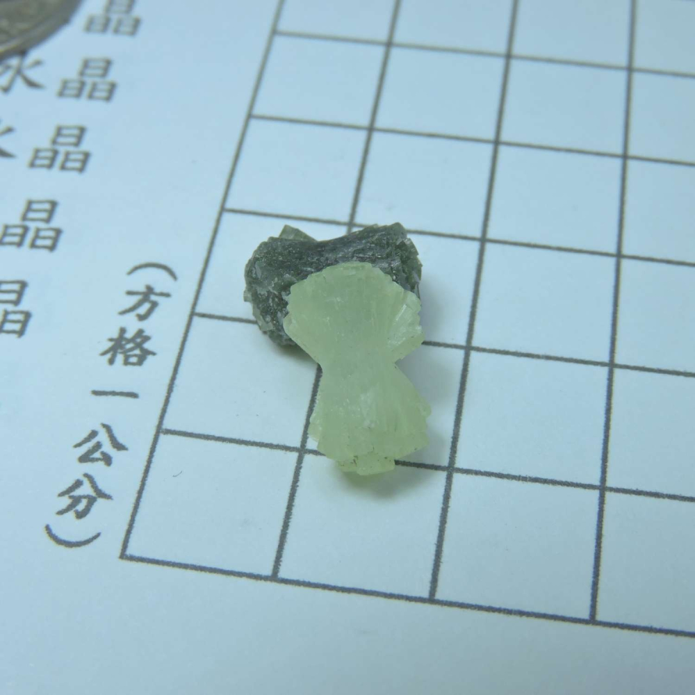 ~0129~蝴蝶結葡萄石~領結葡萄石~27~390-細節圖4