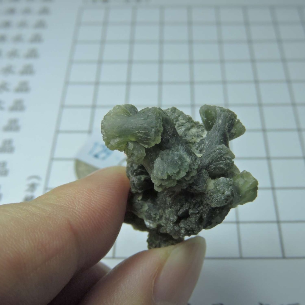 ~0129~蝴蝶結葡萄石~領結葡萄石~25~620-細節圖3