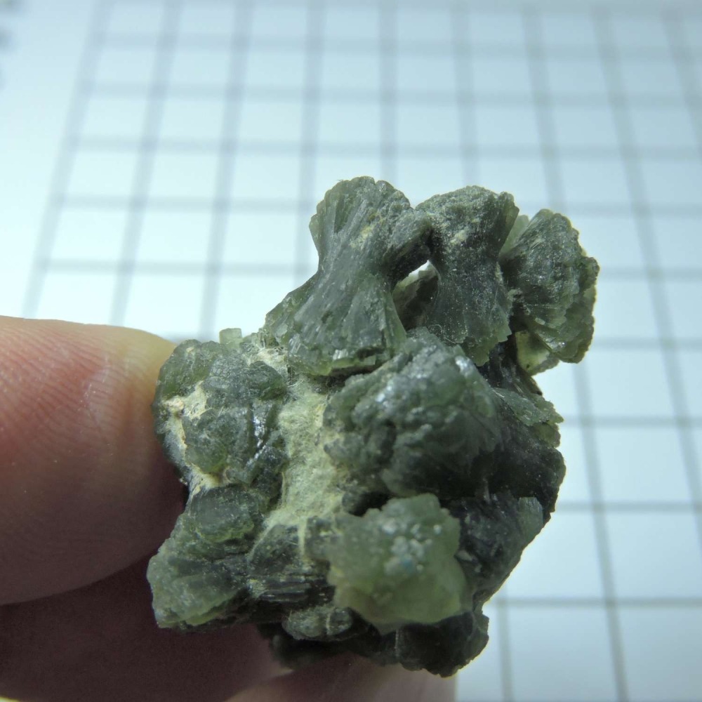 ~0129~蝴蝶結葡萄石~領結葡萄石~25~620-細節圖4