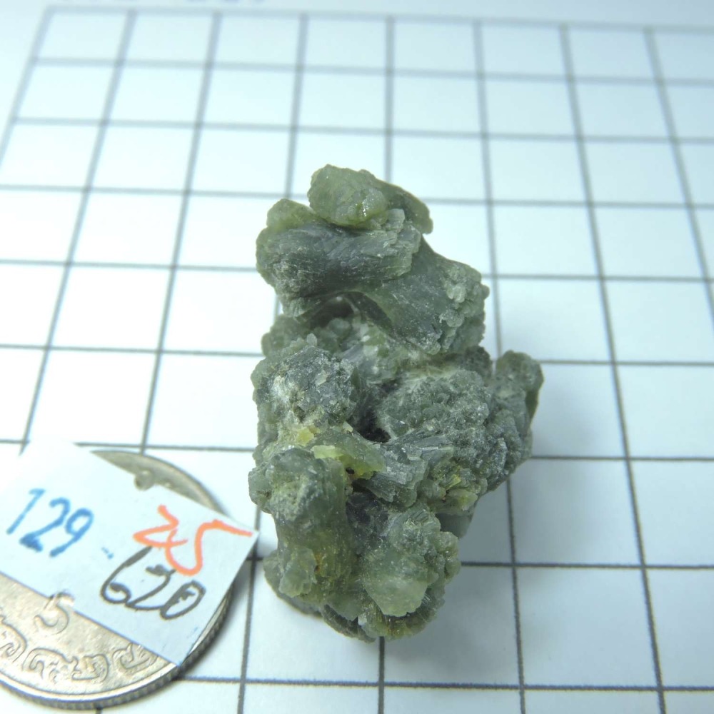 ~0129~蝴蝶結葡萄石~領結葡萄石~25~620-細節圖5