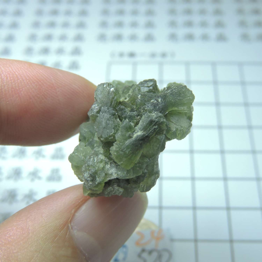 ~0129~蝴蝶結葡萄石~領結葡萄石~24~570-細節圖2