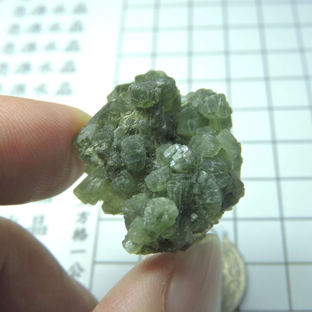 ~0129~蝴蝶結葡萄石~領結葡萄石~24~570-細節圖5