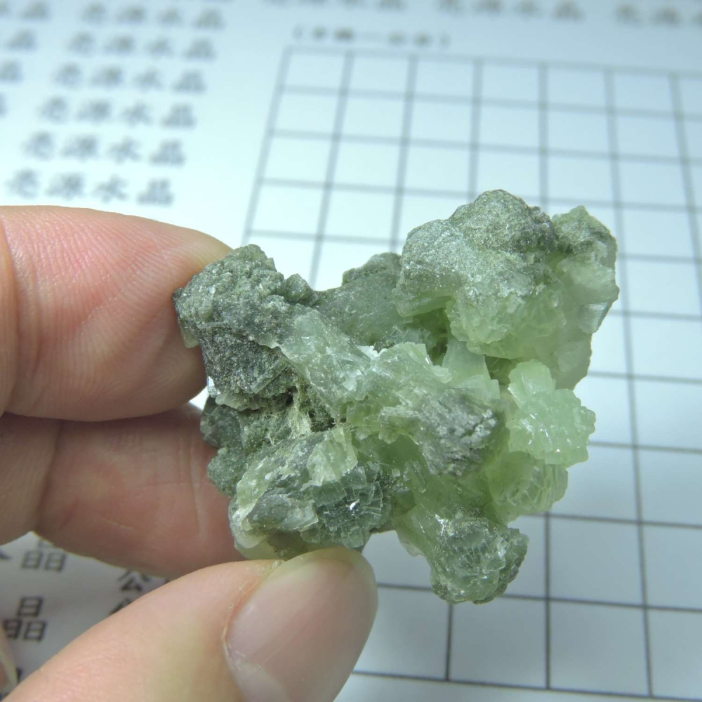 ~0129~蝴蝶結葡萄石~領結葡萄石~23~790-細節圖2