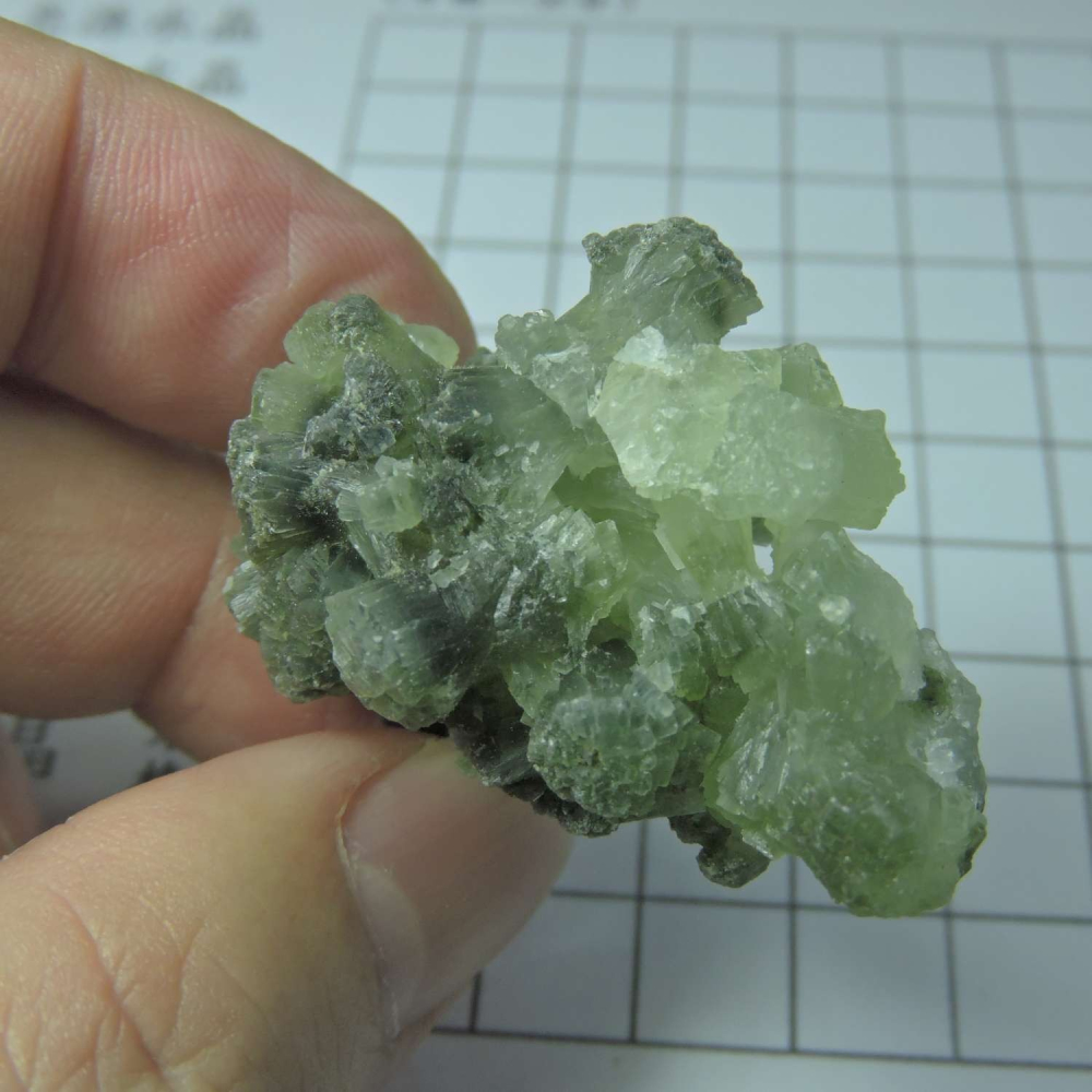 ~0129~蝴蝶結葡萄石~領結葡萄石~23~790-細節圖3