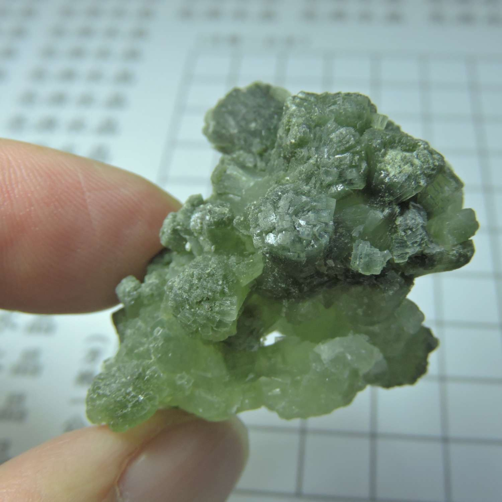 ~0129~蝴蝶結葡萄石~領結葡萄石~23~790-細節圖4